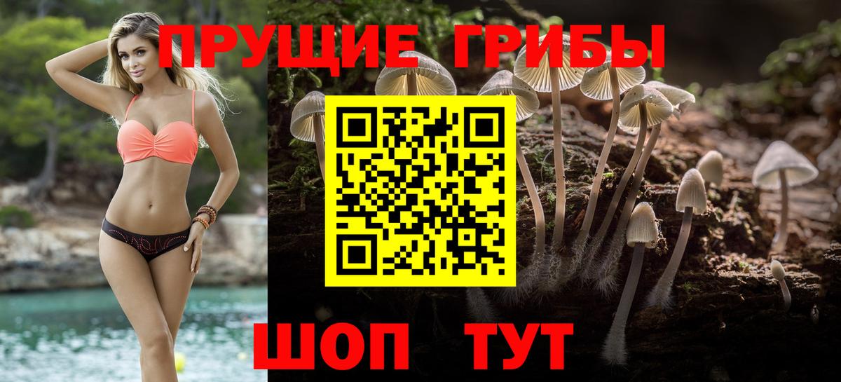 Псилоцибиновые грибы ЛСД Сердобск