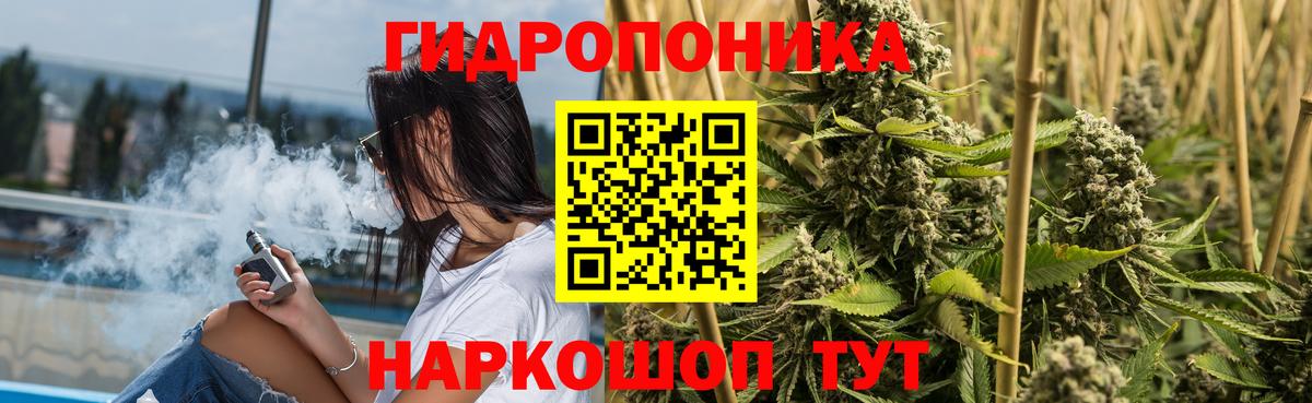 Бошки Шишки Amnesia Сердобск